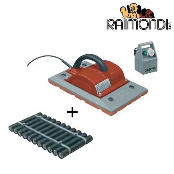 Vibrador de Plaqueta RAIMONDI LUPETTO + RULERA - Imagen 1